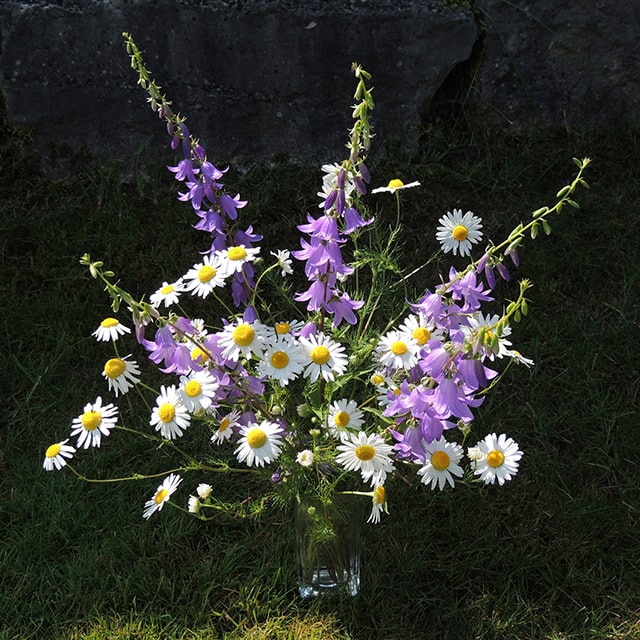 Bouquet de fleurs